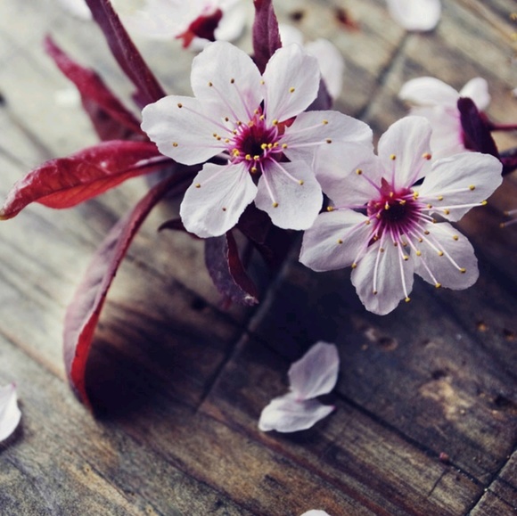 A variety of things. - Picture 1 of 1